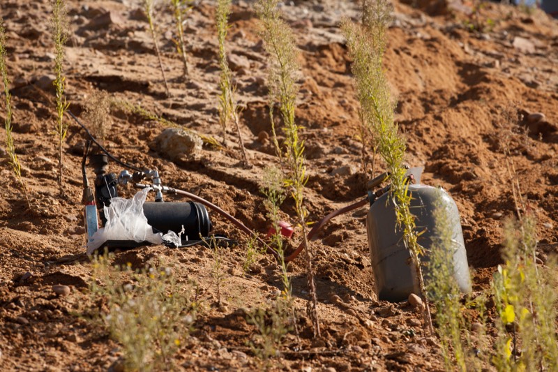 Projekt Osthafen Zündwerk