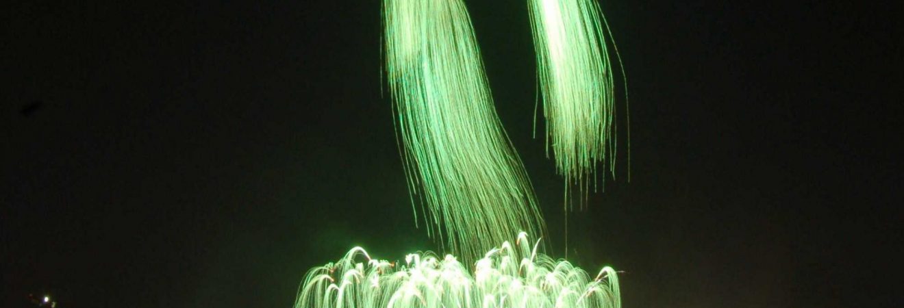 Tag der Deutschen Einheit 2008 Hamburg