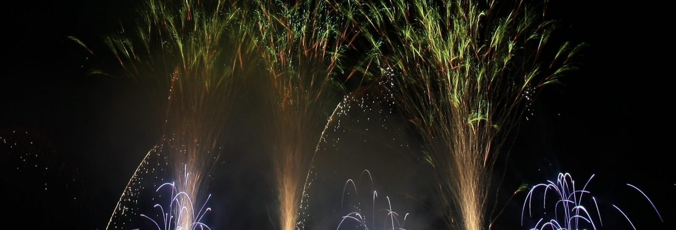 Rhein in Flammen Oberwesel 2010